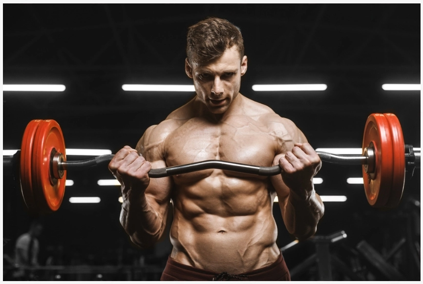 A bodybuilder man doing barbell curl best bicep workout.